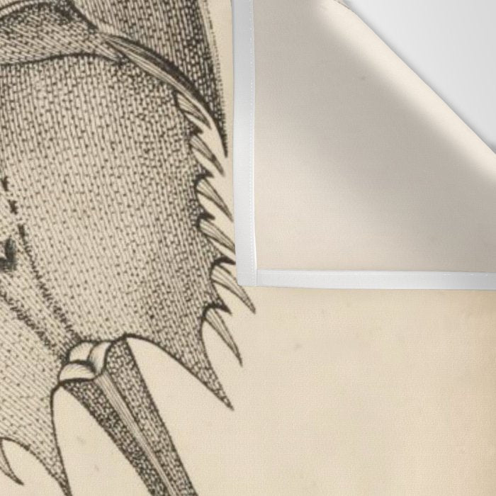 Horseshoe Crabs Wall Tapestry Gallery Image 3