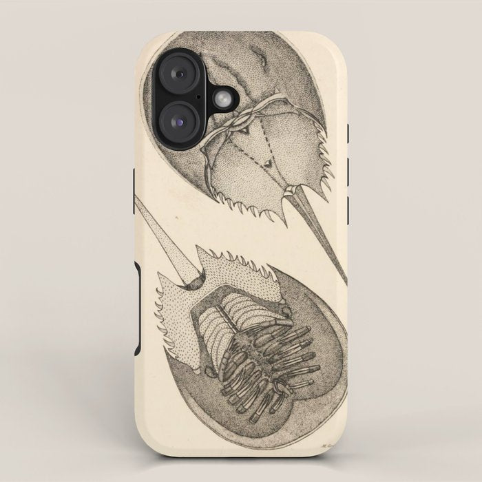 Horseshoe Crabs iPhone Case Gallery Image 1