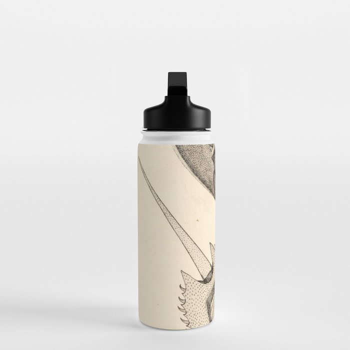 Horseshoe Crabs Water Bottle Gallery Image 3