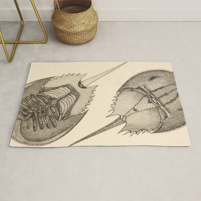 Horseshoe Crabs Rug Gallery Image 1