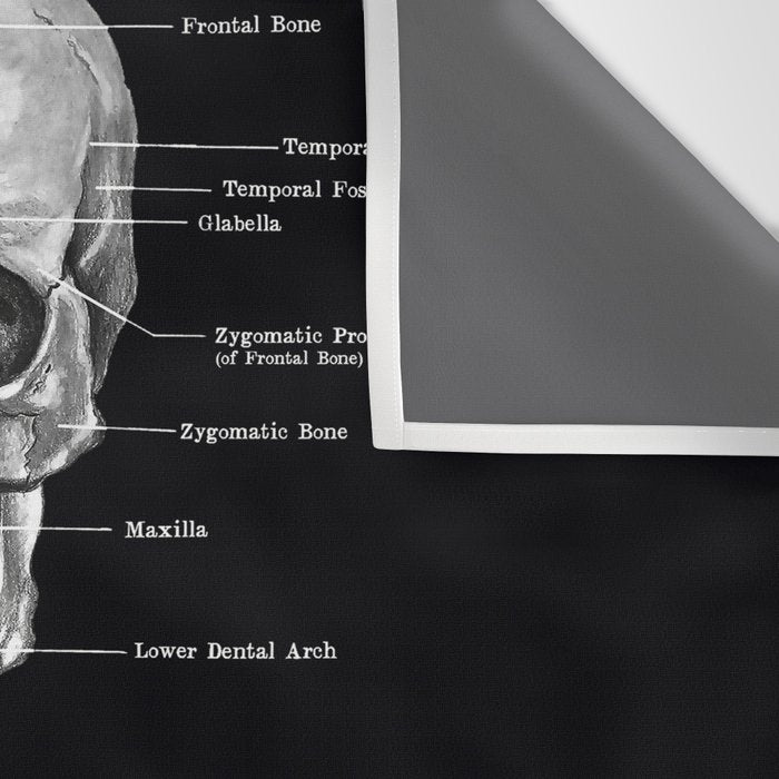 Skull Anatomy - Dark Version Wall Tapestry Gallery Image 3