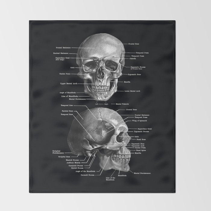 Skull Anatomy - Dark Version Throw Blanket Gallery Image 2