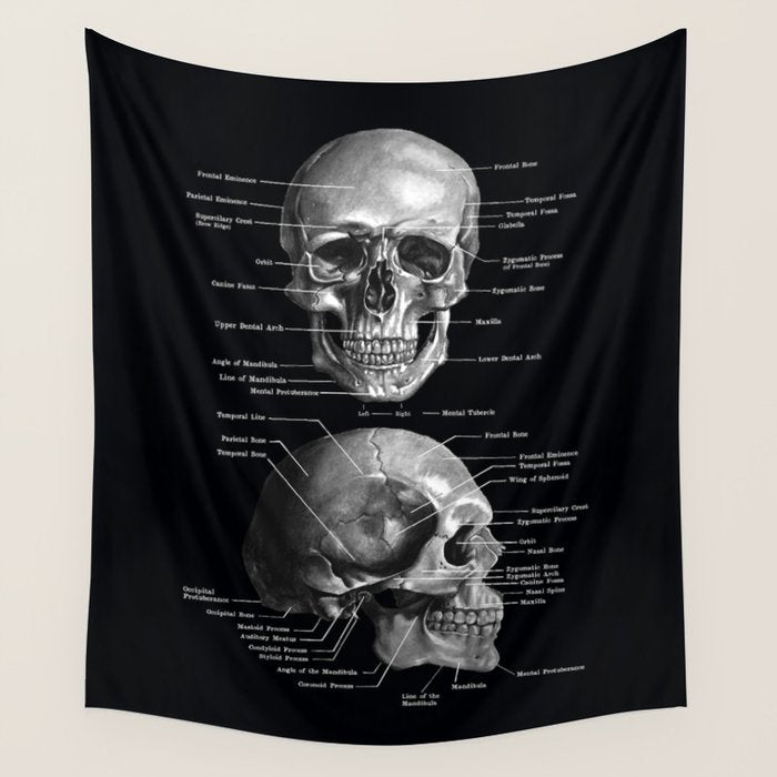 Skull Anatomy - Dark Version Wall Tapestry Gallery Image 4