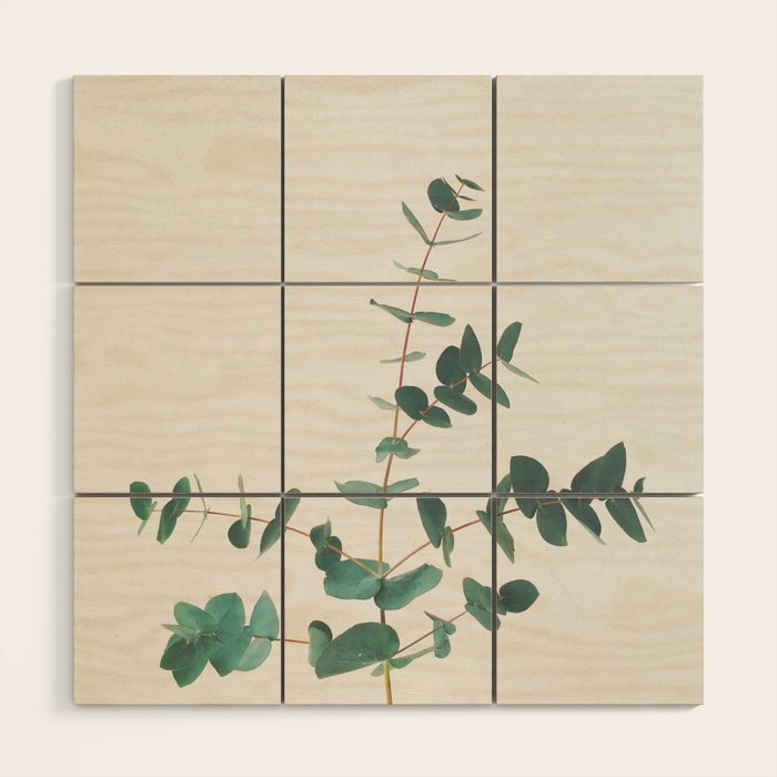 Eucalyptus Wood Wall Art Gallery Image 1