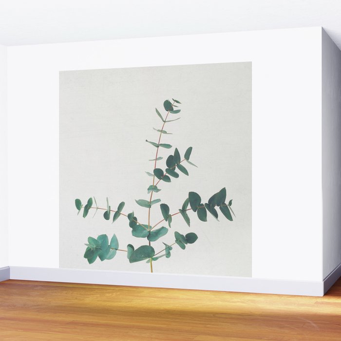 Eucalyptus Wall Mural Gallery Image 2