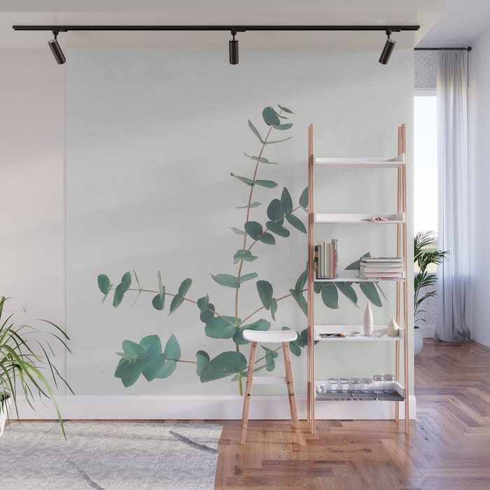 Eucalyptus Wall Mural Gallery Image 1