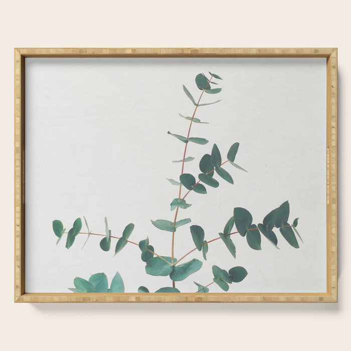 Eucalyptus Serving Tray Gallery Image 1