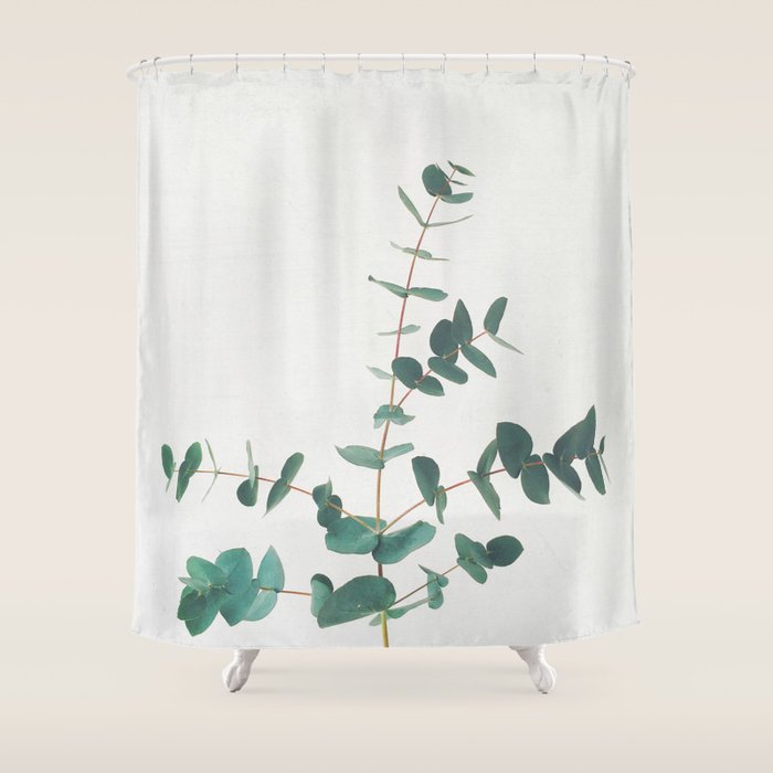 Eucalyptus Shower Curtain Gallery Image 1