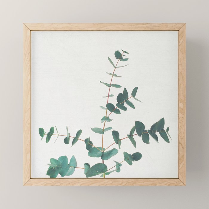 Eucalyptus Mini Art Print Gallery Image 1