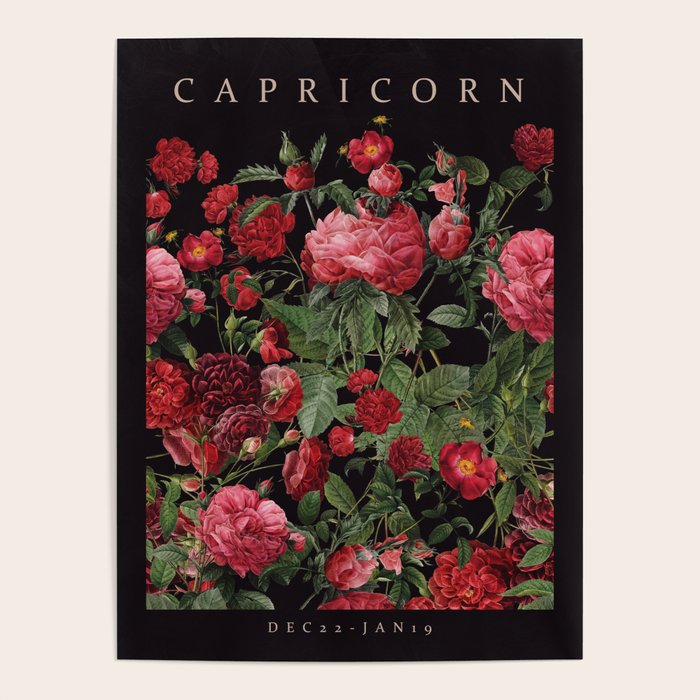 CAPRICORN II Poster Gallery Image 4