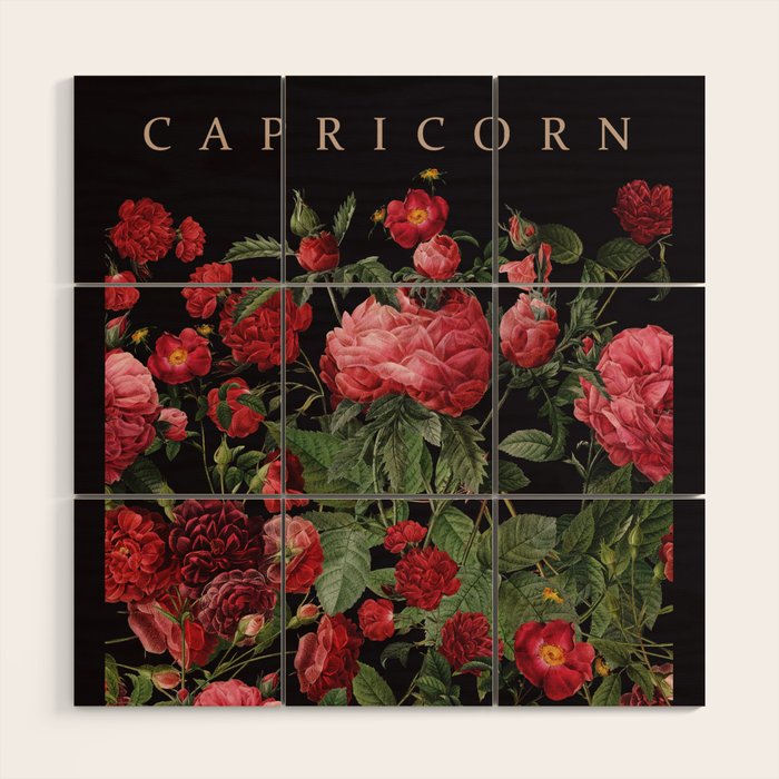 CAPRICORN II Wood Wall Art Gallery Image 1