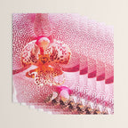Close up Orchid 37 Wrapping Paper Gallery Image 3