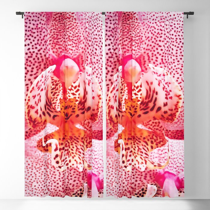 Close up Orchid 37 Window Curtain Gallery Image 1