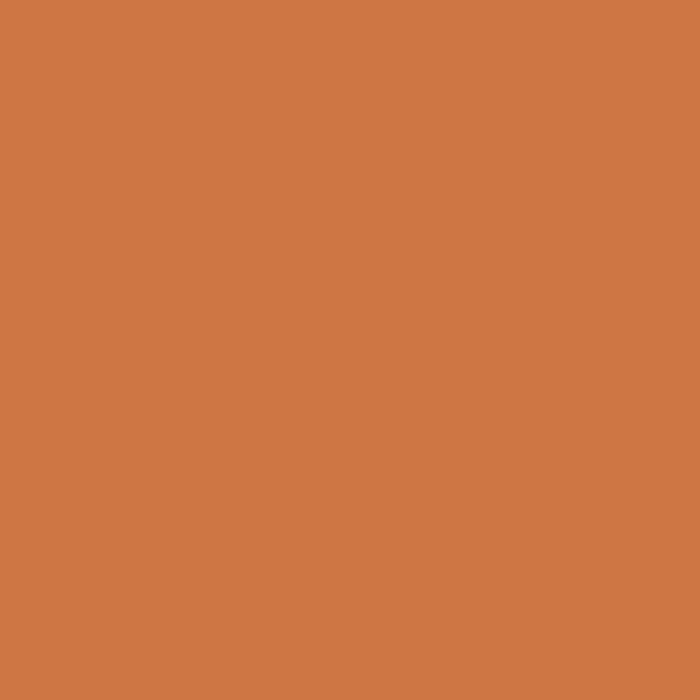 Solid Terracotta Coffee Mug Gallery Image 2
