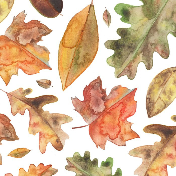 Watercolour Autumn Leaves. Coffee Mug Gallery Image 2