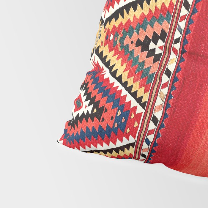 Fethiye  Antique Turkish Kilim Camel Trapping Print Pillow Sham Gallery Image 4