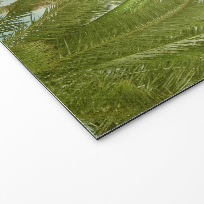 Palm Trees Welcome Mat Gallery Image 2