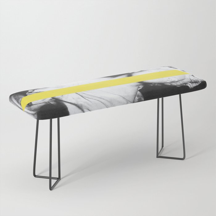 Corpsica 6 Bench Gallery Image 1