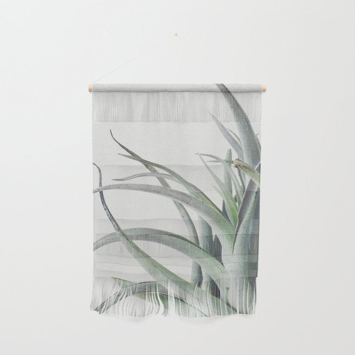 Air Plant II Wall Hanging Gallery Image 1