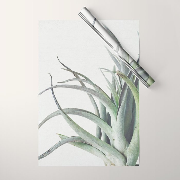 Air Plant II Wrapping Paper Gallery Image 1