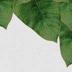 Banana Leaf III Coffee Mug Gallery Image 2