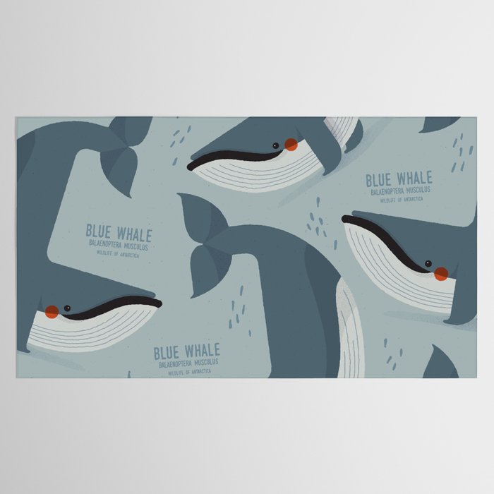 Blue Whale, Wildlife of Antarctica Tablecloth Gallery Image 2