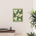 White Orchids Poster Gallery Image 2