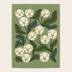 White Orchids Poster Gallery Image 4