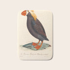 Ornithological illustration from "La Galerie de Oiseaux" ("Bird Gallery"), 1825 Bath Mat Gallery Image 1