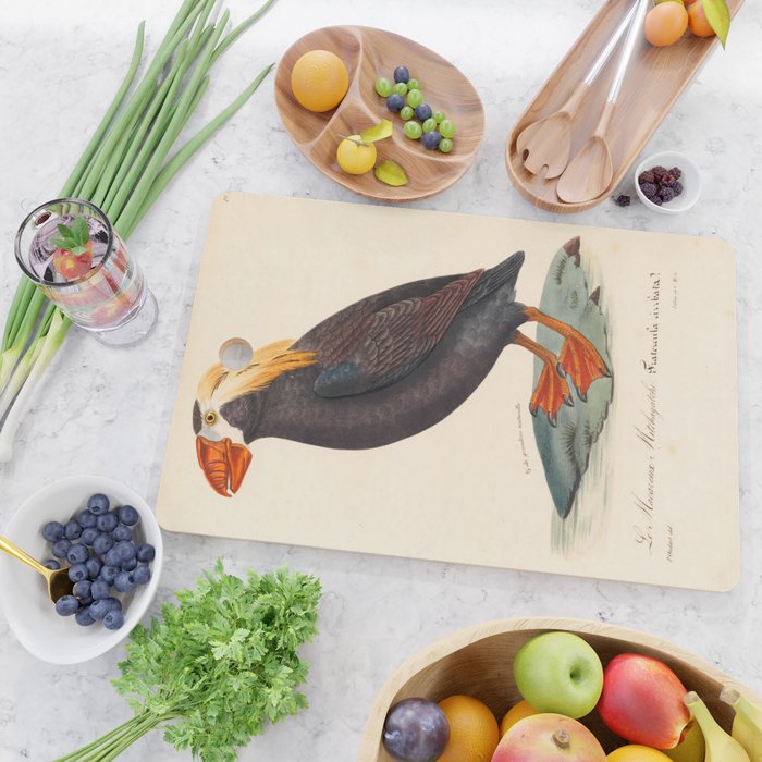 Ornithological illustration from "La Galerie de Oiseaux" ("Bird Gallery"), 1825 Cutting Board Gallery Image 2
