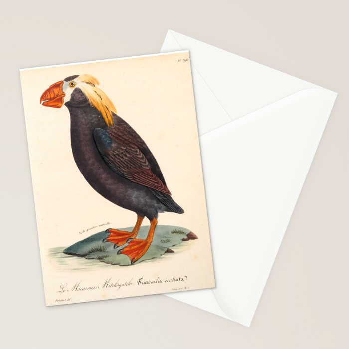 Ornithological illustration from "La Galerie de Oiseaux" ("Bird Gallery"), 1825 Stationery Card Gallery Image 2