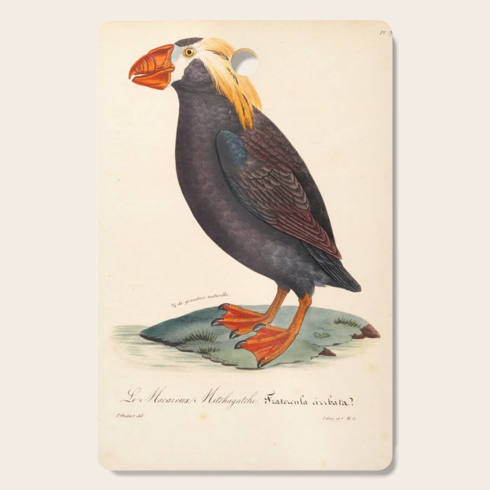 Ornithological illustration from "La Galerie de Oiseaux" ("Bird Gallery"), 1825 Cutting Board Gallery Image 1