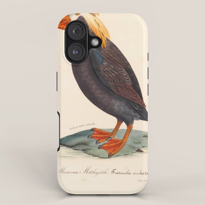 Ornithological illustration from "La Galerie de Oiseaux" ("Bird Gallery"), 1825 iPhone Case Gallery Image 1