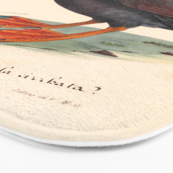 Ornithological illustration from "La Galerie de Oiseaux" ("Bird Gallery"), 1825 Bath Mat Gallery Image 3