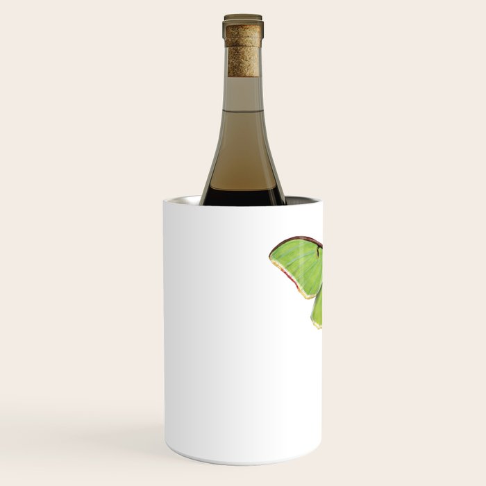 Luna Moth (Actias luna) II Wine Chiller Gallery Image 2