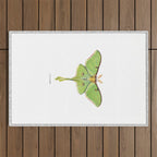 Luna Moth (Actias luna) II Outdoor Rug Gallery Image 1
