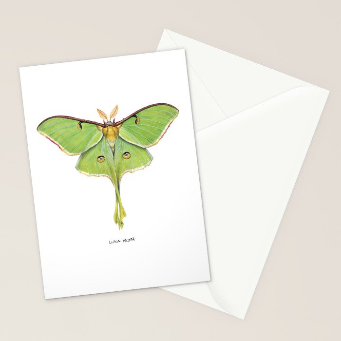 Luna Moth (Actias luna) II Stationery Card Gallery Image 2