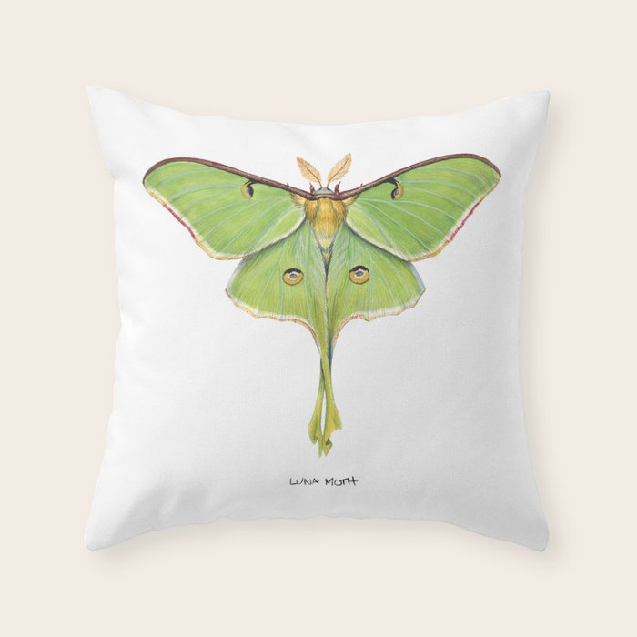 Luna Moth (Actias luna) II Throw Pillow Gallery Image 6