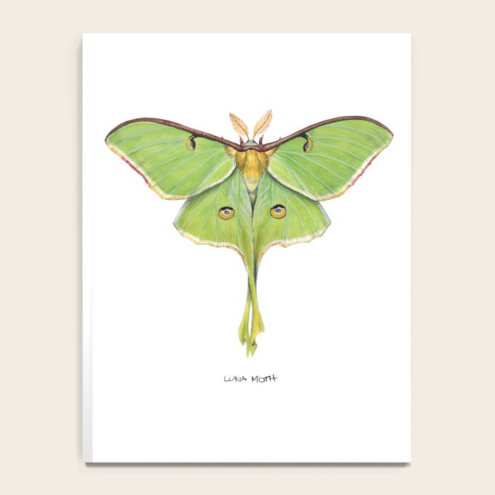 Luna Moth (Actias luna) II Notebook Gallery Image 4
