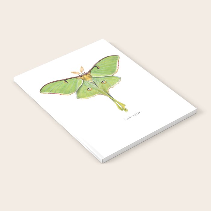 Luna Moth (Actias luna) II Notebook Gallery Image 1