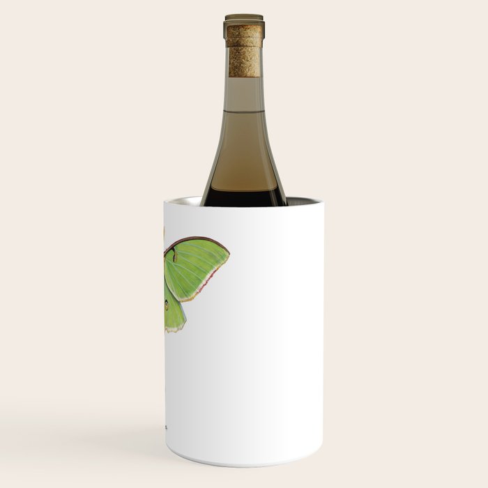 Luna Moth (Actias luna) II Wine Chiller Gallery Image 3