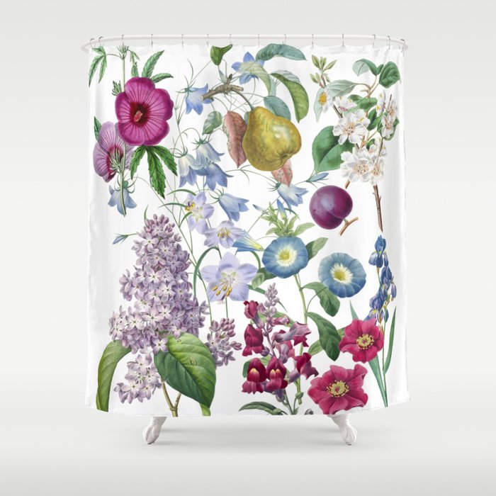 Summer Fruits Botanical Illustration Collage Shower Curtain Gallery Image 1