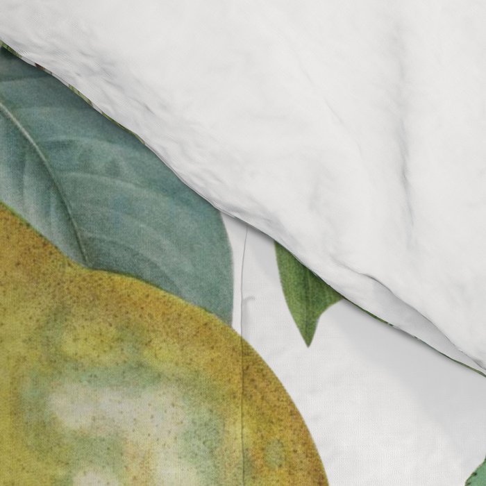 Summer Fruits Botanical Illustration Collage Comforter Gallery Image 4