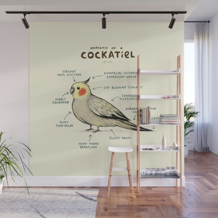 Anatomy of a Cockatiel Wall Mural Gallery Image 1
