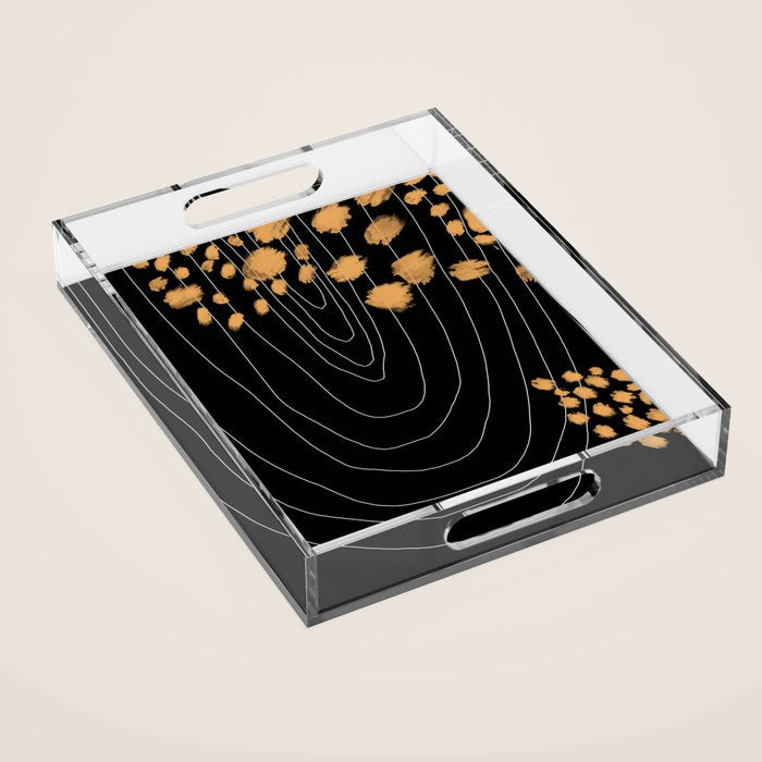 Black & Gold Acrylic Tray Gallery Image 1