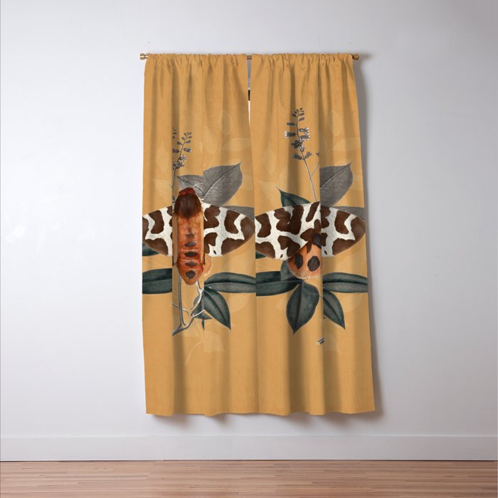 Butterfly 22 Window Curtain Gallery Image 3
