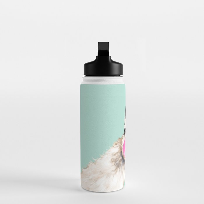 Bubble Gum Sneaky Llama in Green Water Bottle Gallery Image 3