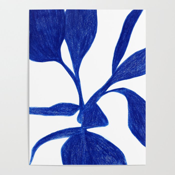 Plant blue  Poster Gallery Image 1
