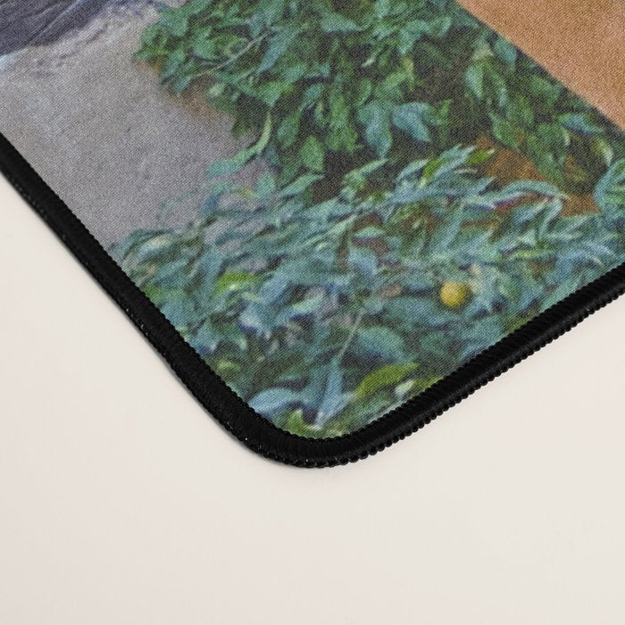 Lindaraja oriel. The Alhambra palace. Granada. Spain. Medium format, Film Desk Mat Gallery Image 4