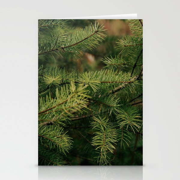 Pine Details Stationery Card Gallery Image 2